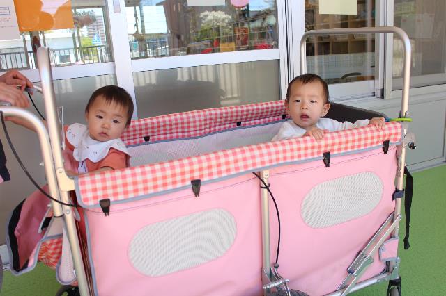 錦保いちごエアバス