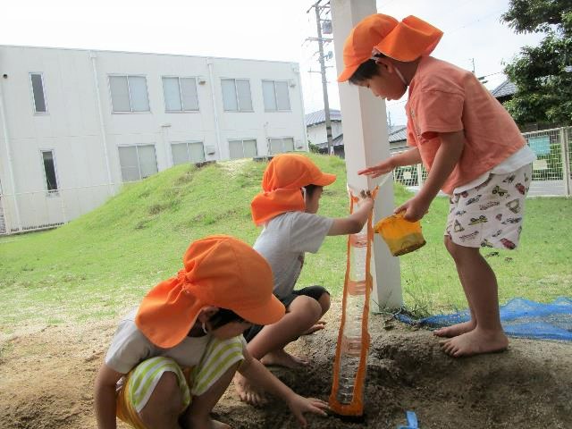 城ケ入とい