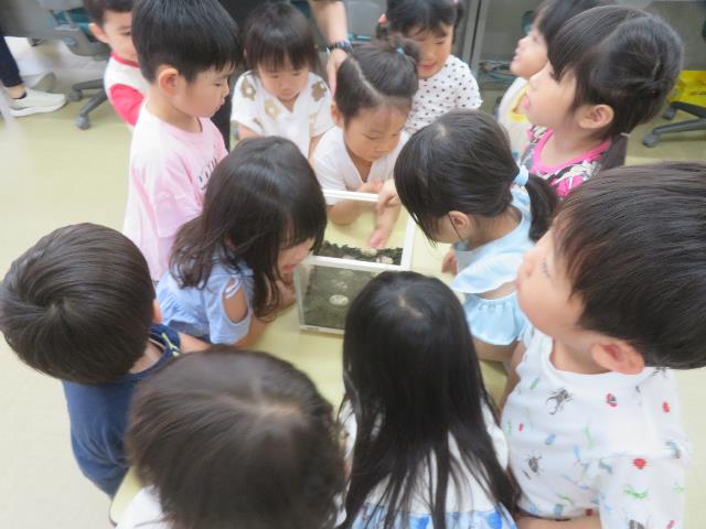 安城保カメ1