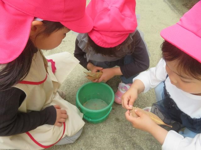安保戸外4