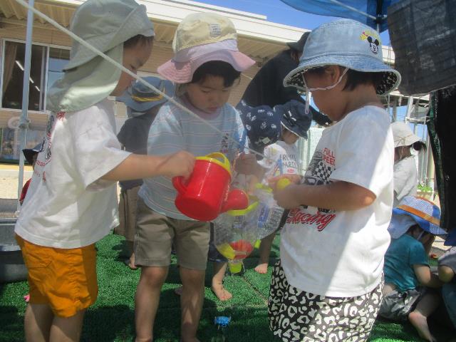 さくら保水遊びめろん
