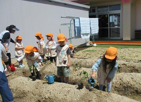城ケ入5