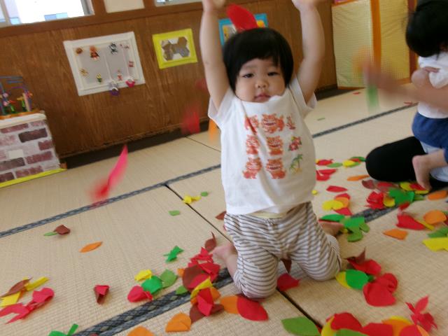 落ち葉こっこ作野