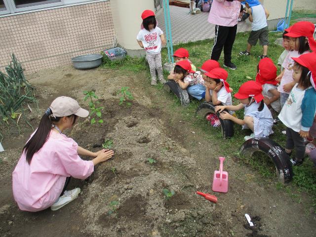 作野年少見る