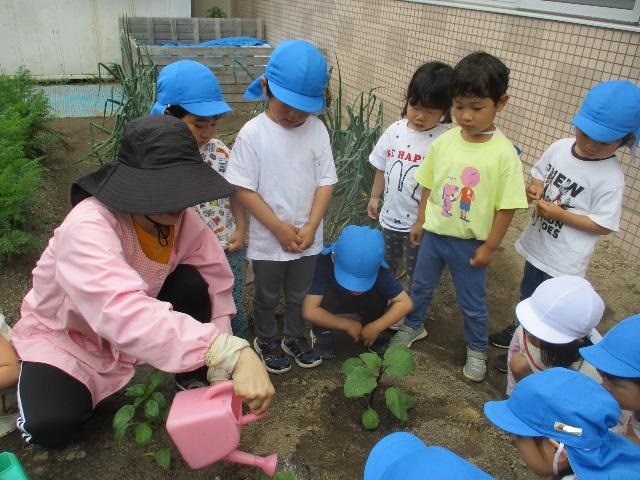 作野そら水やり