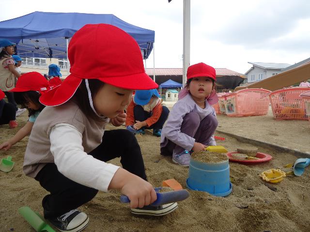 作野砂年少