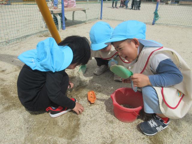 さくら保てんとうむし