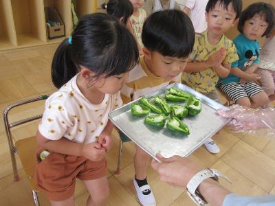 東こピーマン匂い