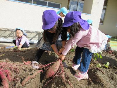 東こうんとこしょ