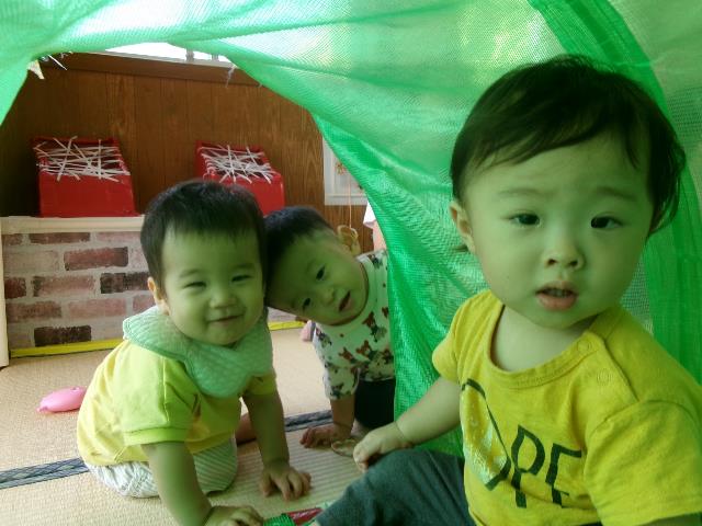 作野トンネルのぞく