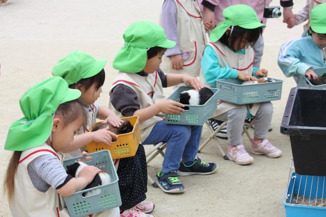 ゆたか保移動動物園5