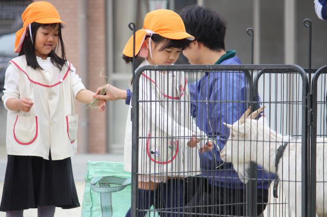 ゆたか保移動動物園