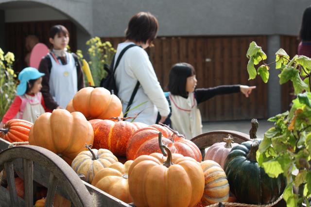 ゆたか保遠足11