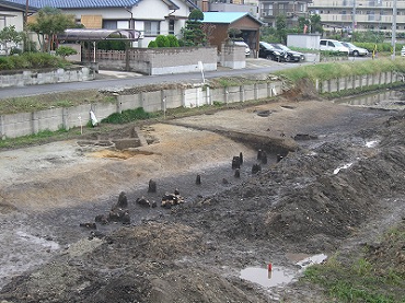 調査区全景