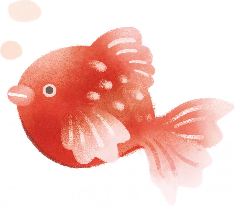R7夏季イラスト