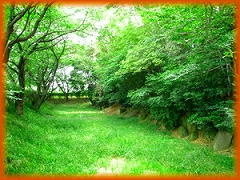 山崎城堀と土塁