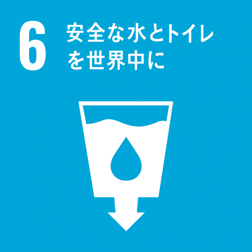  sdgsicon6