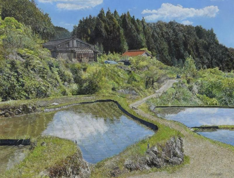 第83回グリーンリボン賞「四谷の千枚田」