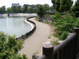 大池公園1