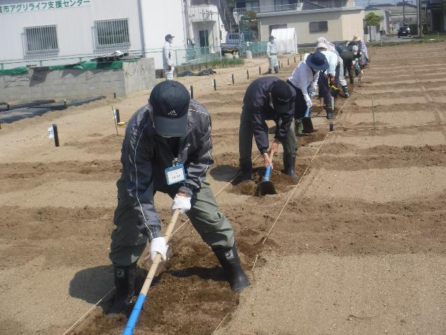 22春ダイコン粗耕