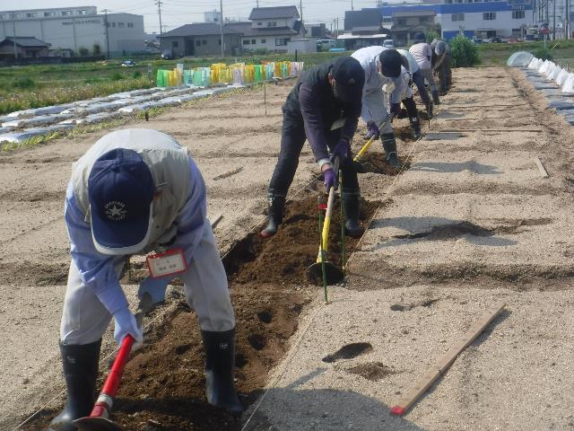 22春ダイコン耕運