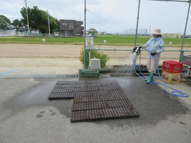 r80812種まき3