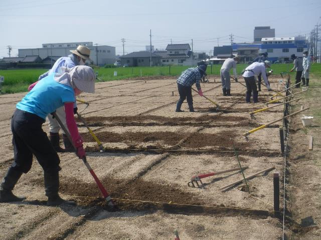 秋区割り