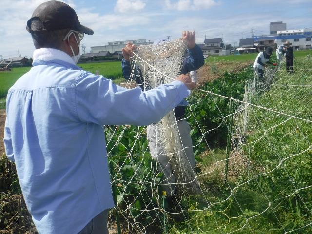 ノリ網片付け