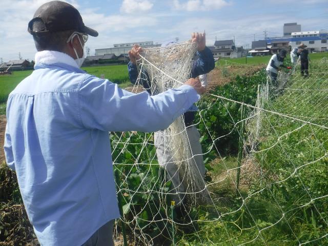 ノリ網片付け