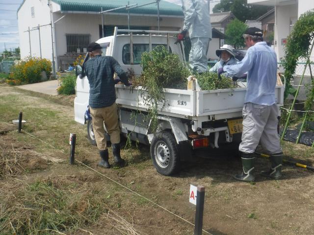 ダンプ積込み