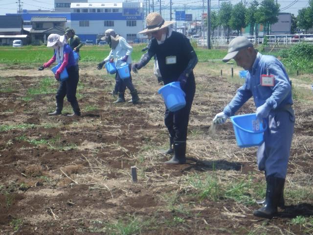 土壌改良剤散布