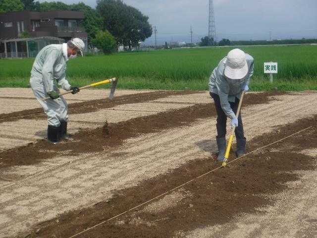 実秋区割り