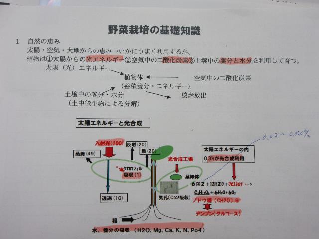 r5秋野菜栽培基礎