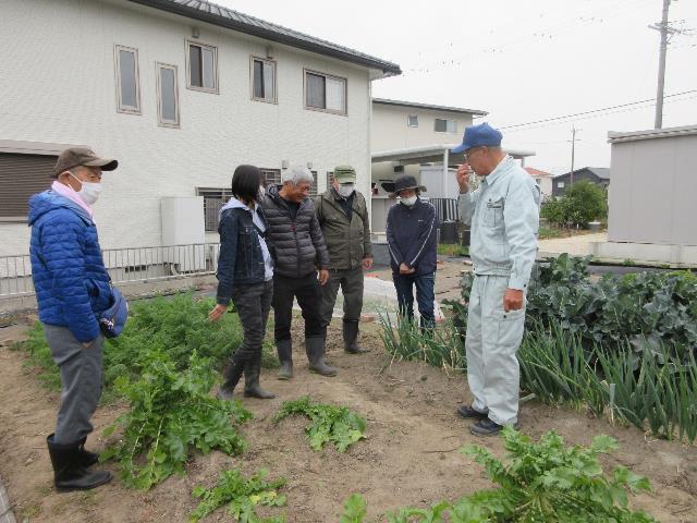 r5実K圃場視察