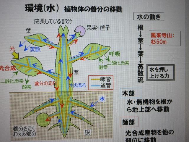 r5環境水