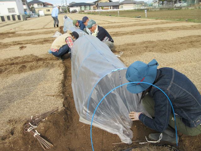 r5実コーントンネル