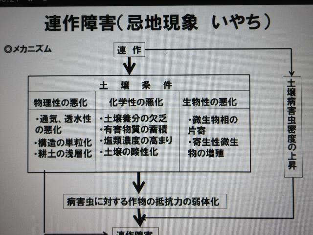 r5連作障害の原因