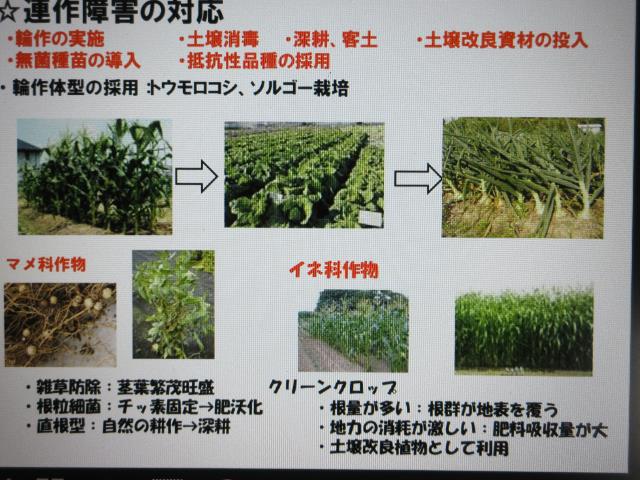 r5連作障害原因