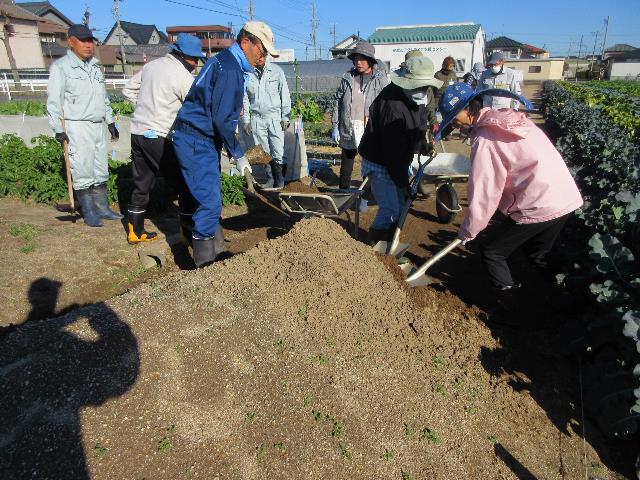 r5サバ土搬出