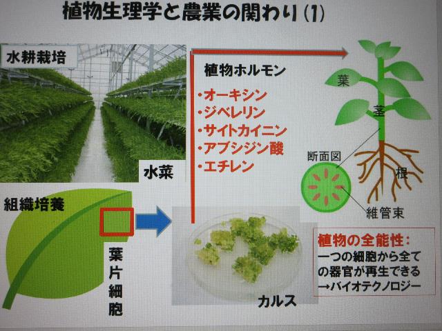 r5植生農業関係