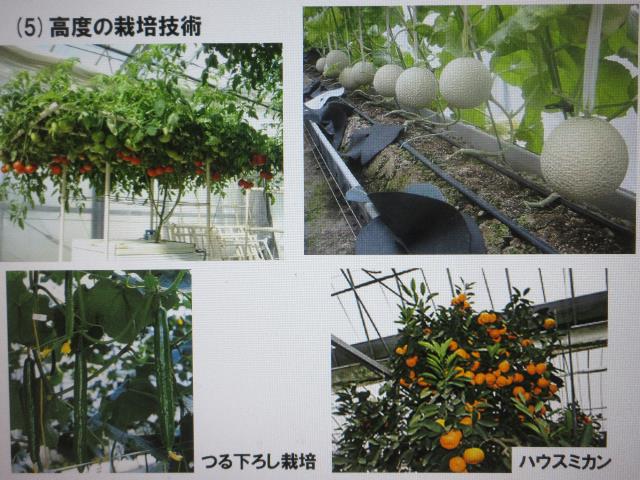 r6園芸技術