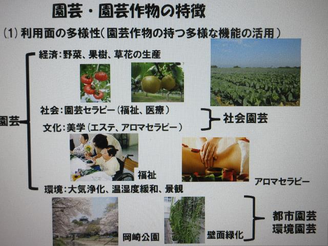 r6園芸作物の特徴