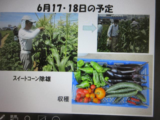 r70402開講式3