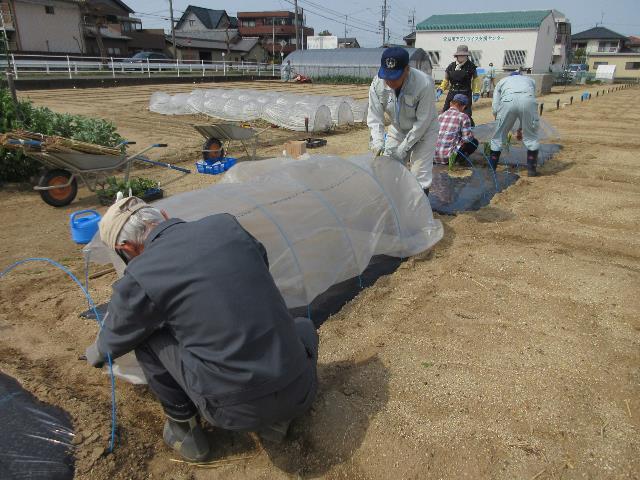 r70408実践コトンネル掛け