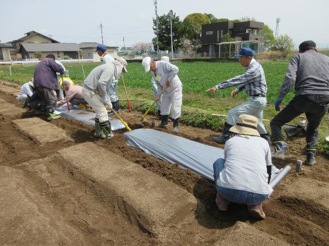 r70411マルチ張り
