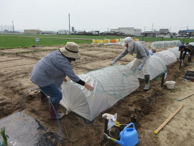 r70411ネット張り