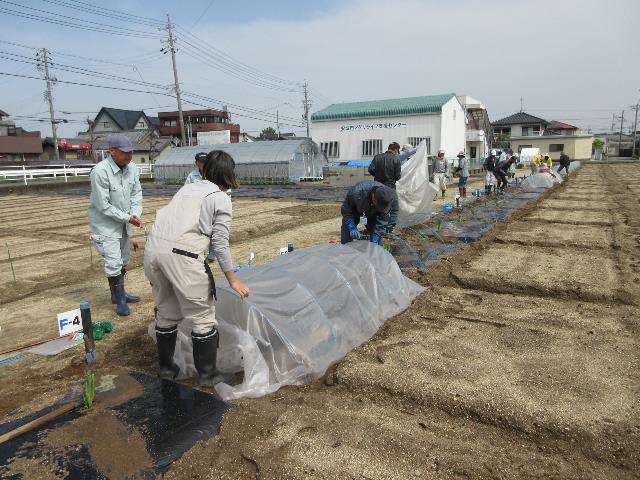 r70411トンネル張り