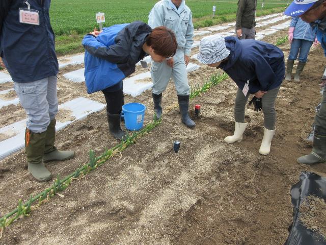 r70416pH調査中