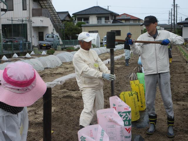 r70423杭打ち
