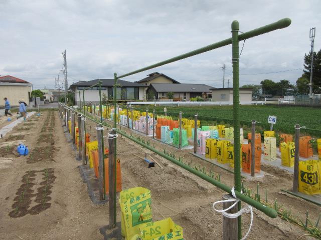 r70423杭打ち3